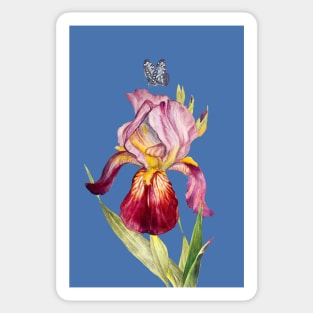 The red iris and the blue butterfly Sticker